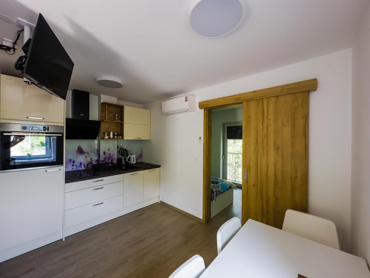Apartmaji Silva Slap ob Idrijci Esterno foto